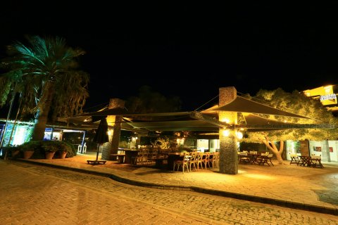 Otel   Bodrum, Muğla, Türkiye №74854 - 28