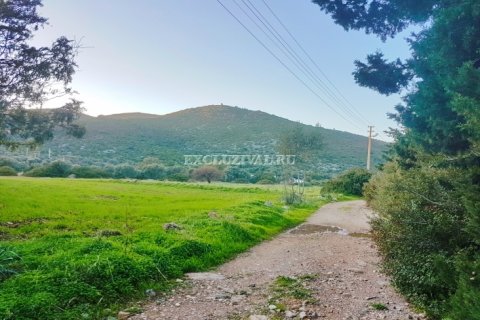 Продажа земельного участка  в Бодруме, Мугле, Турция, 3500м2, №9821 – фото 1