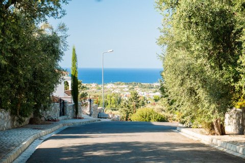 Продажа виллы в Гирне, Северный Кипр 5 комн., 250м2, №12754 – фото 20