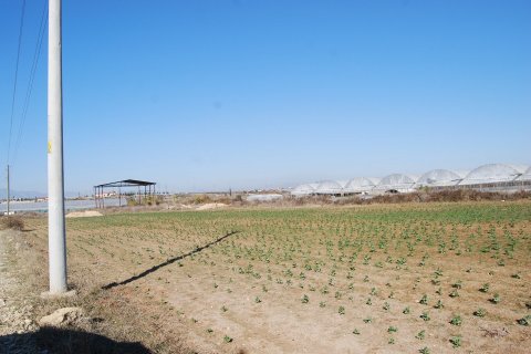 Продажа земельного участка в Аксу, Анталья, Турция, 4.200м2, №11966 – фото 6