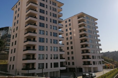 Жилой комплекс Ak Life Gold  в Трабзоне, Турция №36923 – фото 1