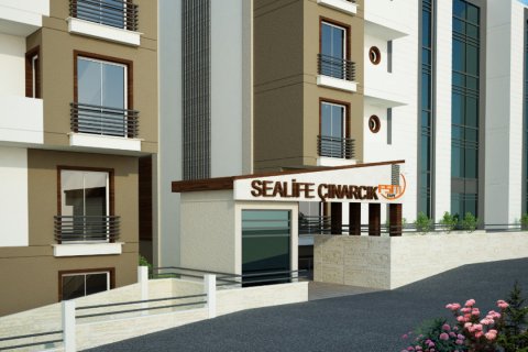 Жилой комплекс Sealife Cinarcik  в Чинарджике, Ялова, Турция №39371 – фото 10