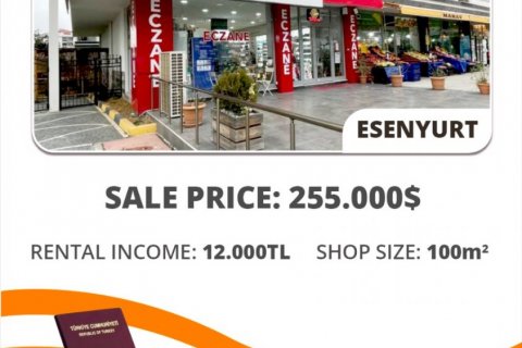 Продажа коммерческой недвижимости  в Стамбуле, Турция, 100м2, №55270 – фото 1