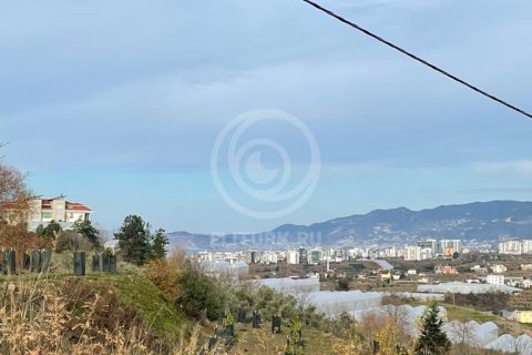 Продажа квартиры  в Аланье, Анталье, Турция 1+1, 1116м2, №55774 – фото 9
