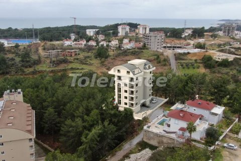 Продажа квартиры  в Аланье, Анталье, Турция 1+1, №68478 – фото 3