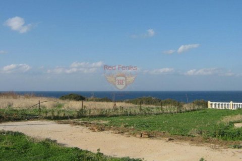 Продажа виллы  в Гирне, Северный Кипр 4+1, 330м2, №71252 – фото 17