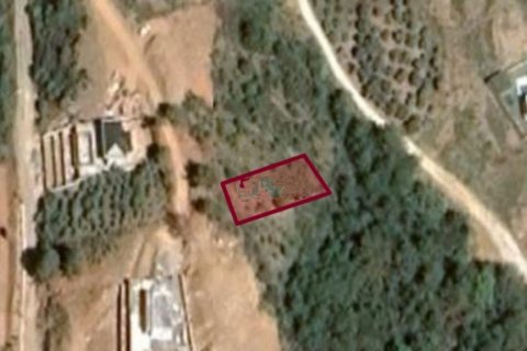 Продажа земельного участка  в Газипаше, Анталье, Турция, 500м2, №80568 – фото 3
