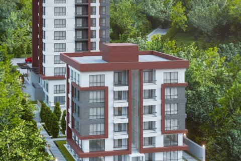 Продажа квартиры  в Башакшехире, Стамбуле, Турция 1 комн., 233м2, №81217 – фото 2